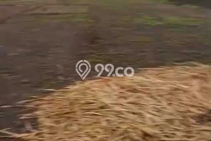 Untuk Dijual Tanah di Bojonegoro Bojonegoro Luas 12920m2 SHM Untuk Dijual Tanah di Bojonegoro Bojonegoro Luas 12920m2 SHM