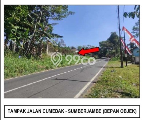 Lahan untuk Dijual di Sumberjambe Jember Luas 19773m2 Lahan untuk Dijual di Sumberjambe Jember Luas 19773m2
