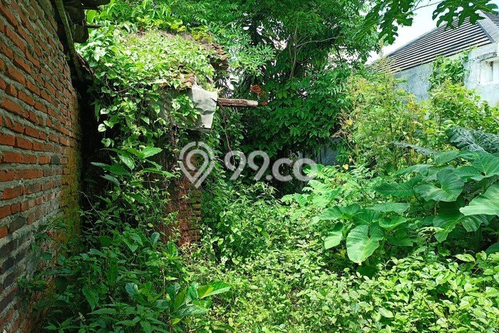 Kavling Tanah Dijual di Patrang Jember Spesifikasi 7402m2 Kavling Tanah Dijual di Patrang Jember Spesifikasi 7402m2