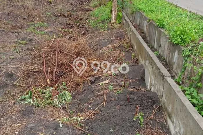 Untuk Dijual Tanah di Bojonegoro Bojonegoro Luas 12920m2 SHM Untuk Dijual Tanah di Bojonegoro Bojonegoro Luas 12920m2 SHM