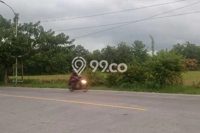 Tanah Dijual Lokasi Padangan, Bojonegoro Luas 10445m2 Legalitas Aman Tanah Dijual Lokasi Padangan, Bojonegoro Luas 10445m2 Legalitas Aman