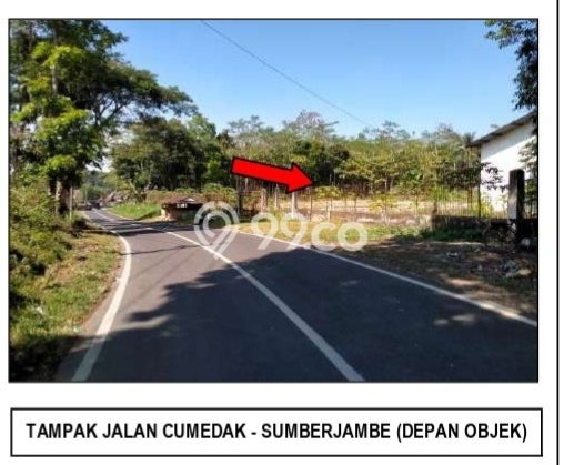 Lahan untuk Dijual di Sumberjambe Jember Luas 19773m2 Lahan untuk Dijual di Sumberjambe Jember Luas 19773m2