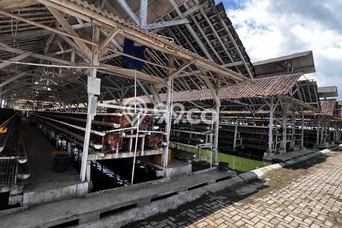 Komersial Dijual Lokasi Stratagis di Balung Jember Cocok untuk Bisnis Komersial Dijual Lokasi Stratagis di Balung Jember Cocok untuk Bisnis