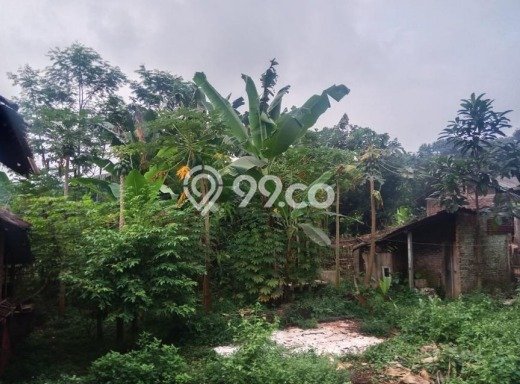 Tanah untuk Dijual Lokasi Gringsing, Batang Luas 120000m2 SHM Tanah untuk Dijual Lokasi Gringsing, Batang Luas 120000m2 SHM