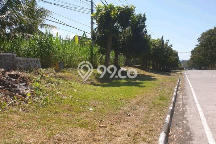 Tanah Kavling Dijual di Saba, Gianyar dengan Luas Tanah 800m2 Tanah Kavling Dijual di Saba, Gianyar dengan Luas Tanah 800m2