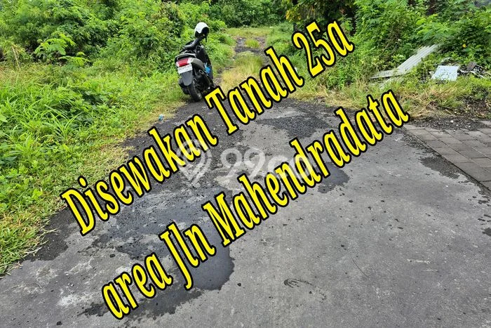 Disewakan Tanah Lokasi Strategis di Denpasar Barat Denpasar 2500m2 Disewakan Tanah Lokasi Strategis di Denpasar Barat Denpasar 2500m2