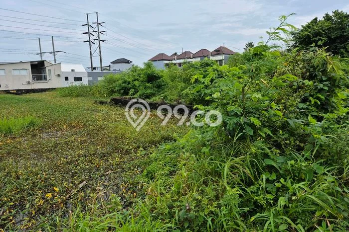Disewakan Tanah Lokasi Strategis di Denpasar Barat Denpasar 2500m2 Disewakan Tanah Lokasi Strategis di Denpasar Barat Denpasar 2500m2