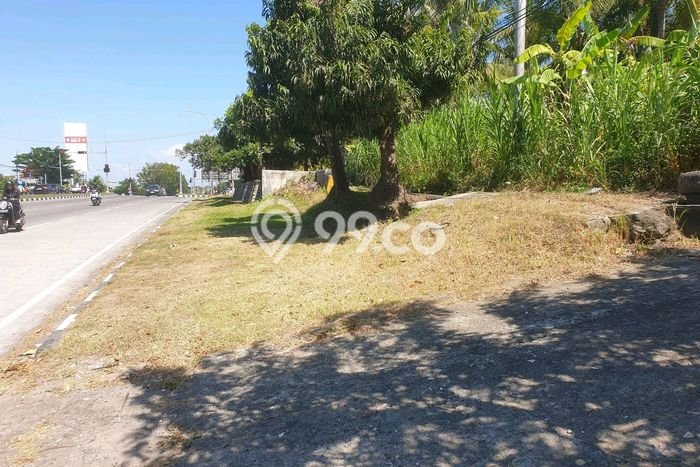 Tanah Kavling Dijual di Saba, Gianyar dengan Luas Tanah 800m2 Tanah Kavling Dijual di Saba, Gianyar dengan Luas Tanah 800m2