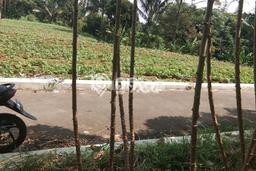 Kavling Tanah di Pamijahan Dijual Luas 2200m2 Legalitas SHM Kavling Tanah di Pamijahan Dijual Luas 2200m2 Legalitas SHM