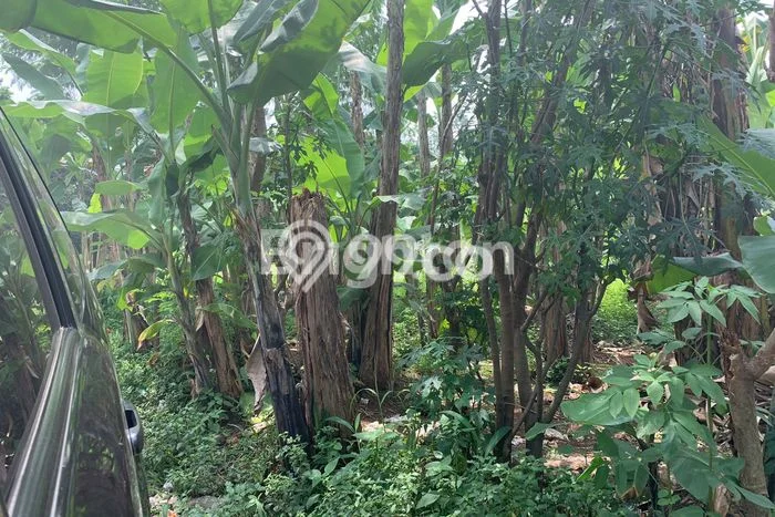 Dijual Tanah Lokasi Jatiranggon, Bekasi Seluas 1420m2 Dijual Tanah Lokasi Jatiranggon, Bekasi Seluas 1420m2