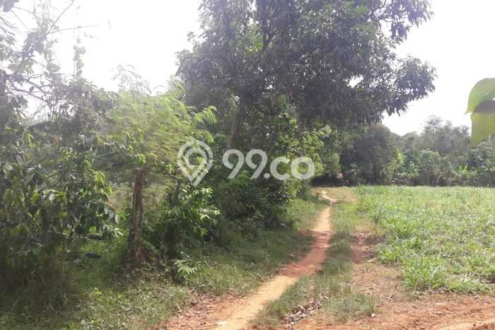 Tanah Strategis Dijual di Pabuaran Subang 10470m2 Tanah Strategis Dijual di Pabuaran Subang 10470m2
