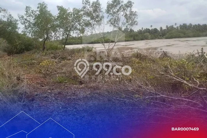 Jarang Ada! Tanah di Bintan Pesisir Punya Luas 4668m2 SHM Jarang Ada! Tanah di Bintan Pesisir Punya Luas 4668m2 SHM