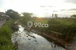 Tanah di Ranca Bungur, Bogor Luas 3000m2 Dijual Segera Tanah di Ranca Bungur, Bogor Luas 3000m2 Dijual Segera