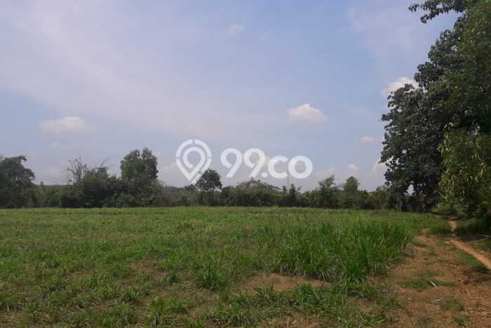 Tanah Strategis Dijual di Pabuaran Subang 10470m2 Tanah Strategis Dijual di Pabuaran Subang 10470m2