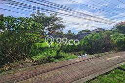 Jarang Ada! Tanah Kavling Disewakan di Badung 2475m2 Jarang Ada! Tanah Kavling Disewakan di Badung 2475m2