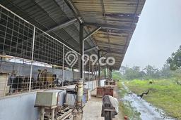 Jual Gudang Kawasan Curug, Luas 6800m2m², Kawasan Potensial, Mainroad Jual Gudang Kawasan Curug, Luas 6800m2m², Kawasan Potensial, Mainroad