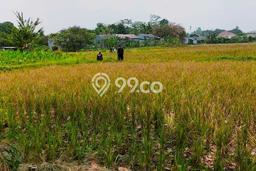 Tanah Premium Kawasan Curug, Luas 2000m², Dekat Curug, Tangerang, Tangerang Tanah Premium Kawasan Curug, Luas 2000m², Dekat Curug, Tangerang, Tangerang