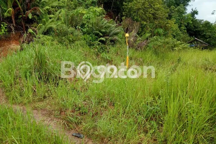 Lahan untuk Dijual di Samarinda Seberang Samarinda Luas 419m2 Lahan untuk Dijual di Samarinda Seberang Samarinda Luas 419m2