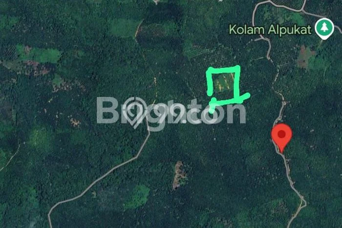 Lahan Kosong Dijual di Sepaku, Penajam Paser Utara, Luas 8262m2 Area Strategis Lahan Kosong Dijual di Sepaku, Penajam Paser Utara, Luas 8262m2 Area Strategis