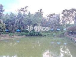 Tanah Kavling untuk Dijual di Long Ikis Pasir 10000m2 Tanah Kavling untuk Dijual di Long Ikis Pasir 10000m2