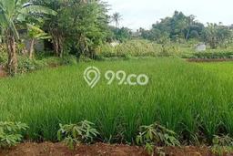 Tanah Siap Bangun Dijual di Bandung Punya Luas 390m2 Tanah Siap Bangun Dijual di Bandung Punya Luas 390m2