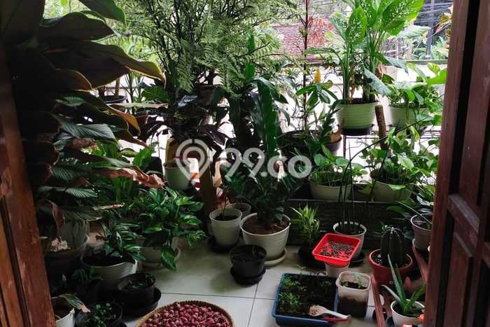 Ruko Bagus Dijual LB 165m2 Lokasi Strategis Jakarta Selatan Area Cocok untuk Bisnis Ruko Bagus Dijual LB 165m2 Lokasi Strategis Jakarta Selatan Area Cocok untuk Bisnis
