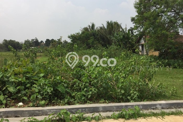 Kavling Tanah Dijual di Legok Tangerang Spesifikasi 735m2 Kavling Tanah Dijual di Legok Tangerang Spesifikasi 735m2