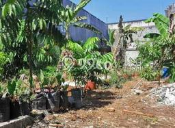 Dijual Tanah di Senen Jakarta Pusat Luas 1499m2 SHM Dijual Tanah di Senen Jakarta Pusat Luas 1499m2 SHM