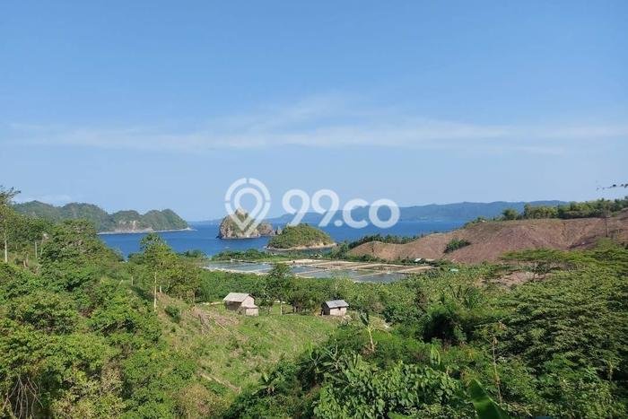 Tanah untuk Dijual Lokasi Punduh Pidada, Pesawaran Luas 250000m2 SHM Tanah untuk Dijual Lokasi Punduh Pidada, Pesawaran Luas 250000m2 SHM