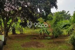 Lahan untuk Dijual Lokasi Tangerang, Tangerang Luas 12000m2 SHM Lahan untuk Dijual Lokasi Tangerang, Tangerang Luas 12000m2 SHM