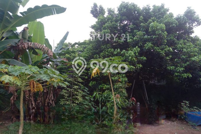 Tanah Dijual di Bekasi Seluas 500m2 Strategis Tanah Dijual di Bekasi Seluas 500m2 Strategis