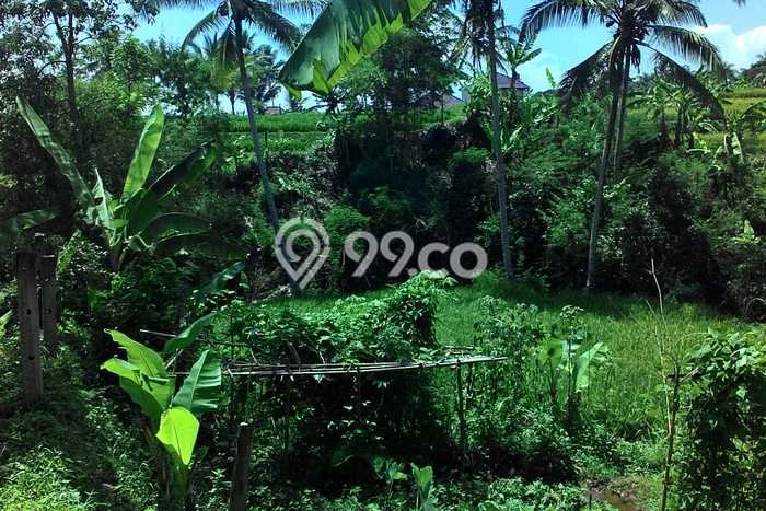 Lahan Dijual Lokasi Cugenang, Cianjur dengan Luas Tanah 6000m2 dan Status - Lahan Dijual Lokasi Cugenang, Cianjur dengan Luas Tanah 6000m2 dan Status -