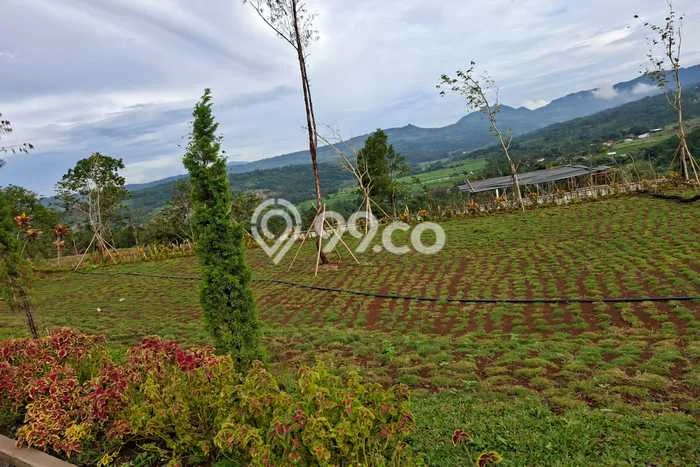 Tanah Kavling untuk Dijual di BSD Tangerang Selatan 500m2 Tanah Kavling untuk Dijual di BSD Tangerang Selatan 500m2