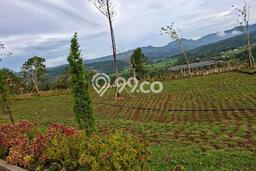 Tanah Kavling untuk Dijual di BSD Tangerang Selatan 500m2 Tanah Kavling untuk Dijual di BSD Tangerang Selatan 500m2