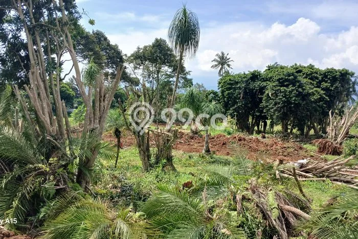 Kavling Tanah Dijual di BSD Tangerang Selatan Spesifikasi 200m2 Kavling Tanah Dijual di BSD Tangerang Selatan Spesifikasi 200m2