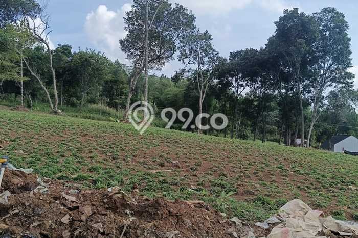 Kavling Tanah di Sukaraja Dijual Luas 1000m2 Legalitas SHM Kavling Tanah di Sukaraja Dijual Luas 1000m2 Legalitas SHM