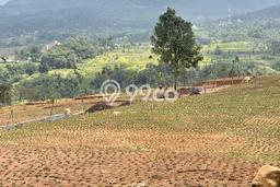 Jarang Ada! Tanah di Cilandak Punya Luas 1000m2 SHM Jarang Ada! Tanah di Cilandak Punya Luas 1000m2 SHM