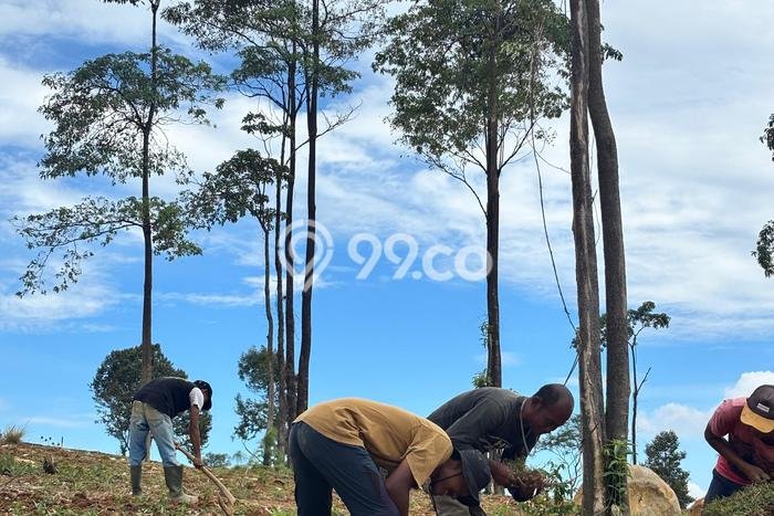 Kavling Tanah Dijual di Sukaraja Bogor Spesifikasi 500m2 Kavling Tanah Dijual di Sukaraja Bogor Spesifikasi 500m2