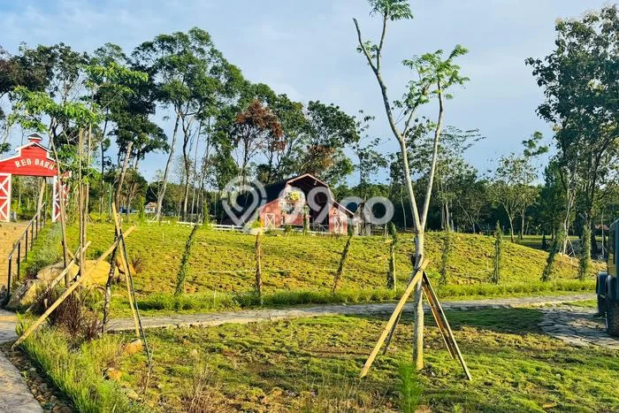 Lahan untuk Dijual Lokasi Cinere, Depok Luas 300m2 SHM Lahan untuk Dijual Lokasi Cinere, Depok Luas 300m2 SHM