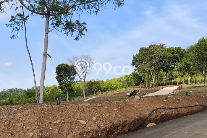 Tanah Kavling Dijual di Depok dengan Spesifikasi 1000m2 Tanah Kavling Dijual di Depok dengan Spesifikasi 1000m2