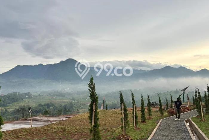 Tanah Investasi Dijual di Bogor Punya Luas 1000m2 Tanah Investasi Dijual di Bogor Punya Luas 1000m2