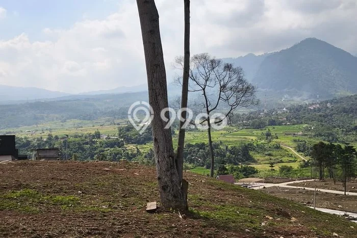 Tanah untuk Dijual Lokasi Cilodong, Depok Luas 1000m2 SHM Tanah untuk Dijual Lokasi Cilodong, Depok Luas 1000m2 SHM