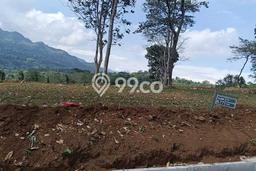 Tanah Kavling untuk Dijual di Cakung Jakarta Timur 500m2 Tanah Kavling untuk Dijual di Cakung Jakarta Timur 500m2