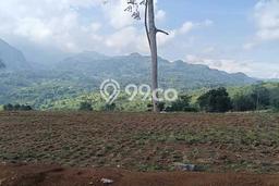 Untuk Dijual Tanah 1000m2 di Wanaherang, Bogor Untuk Dijual Tanah 1000m2 di Wanaherang, Bogor