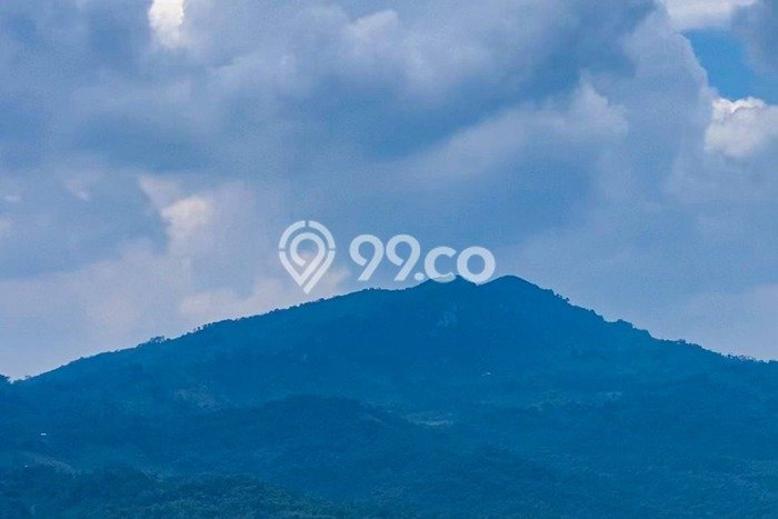 Tanah Kavling Dijual di Bogor dengan Spesifikasi 500m2 Tanah Kavling Dijual di Bogor dengan Spesifikasi 500m2