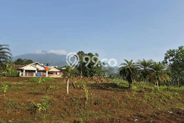 Dijual Tanah Lokasi Cisalak, Depok Seluas 200m2 Dijual Tanah Lokasi Cisalak, Depok Seluas 200m2