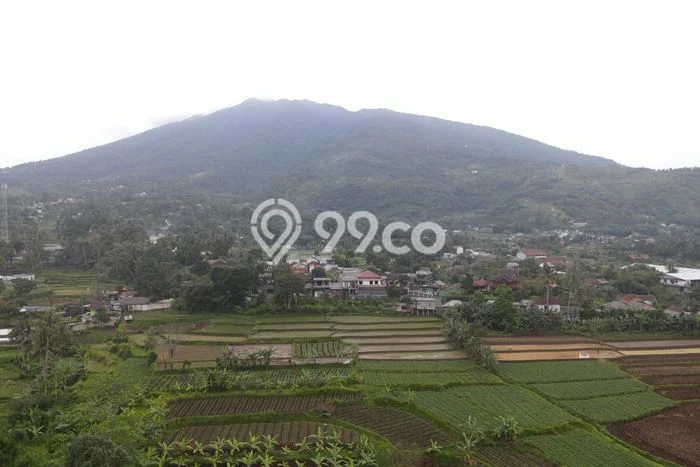 Dijual Tanah Lokasi Cisalak, Depok Seluas 200m2 Dijual Tanah Lokasi Cisalak, Depok Seluas 200m2