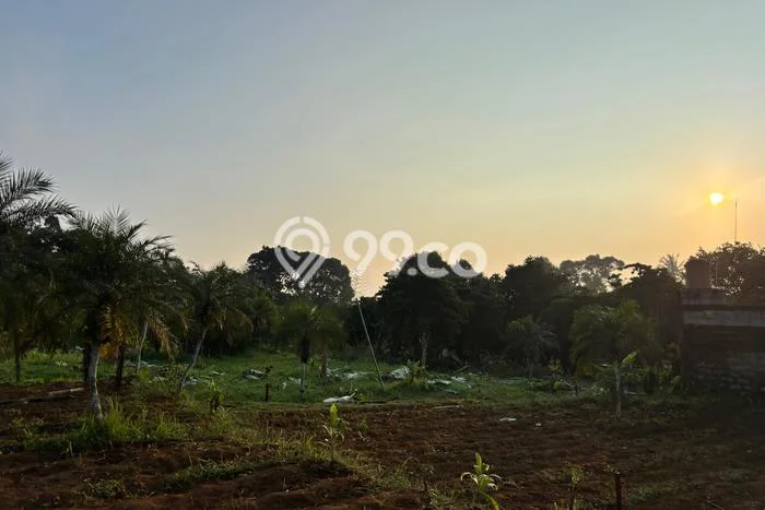 Tanah Kosong Dijual di Depok dengan Area 200m2 Tanah Kosong Dijual di Depok dengan Area 200m2