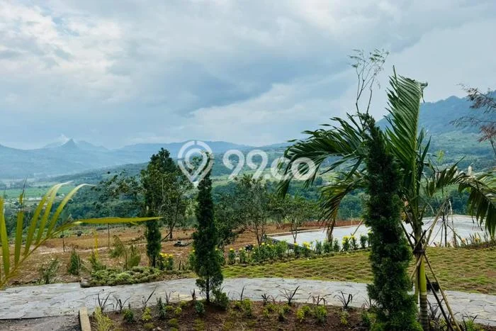 Tanah Kavling Dijual di Bogor dengan Spesifikasi 1000m2 Tanah Kavling Dijual di Bogor dengan Spesifikasi 1000m2