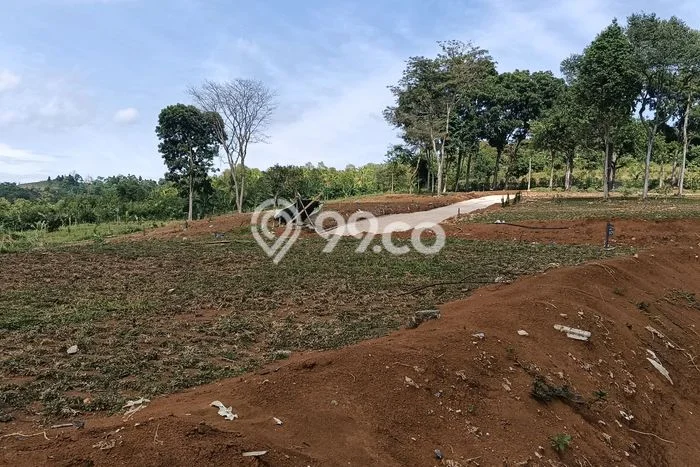 Dijual Tanah di Bogor, Luas 900m2 SHM Dijual Tanah di Bogor, Luas 900m2 SHM